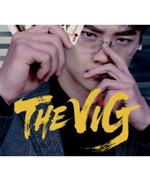 THE VIG Steam Key GLOBAL